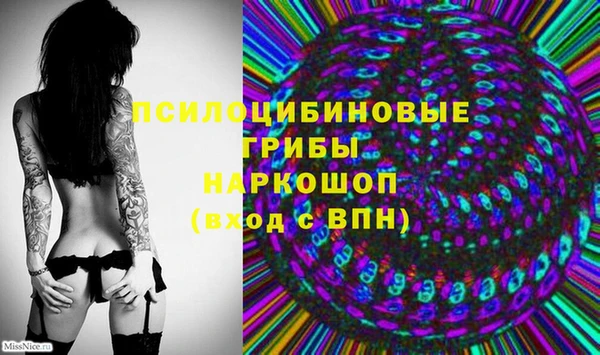ГАЛЛЮЦИНОГЕННЫЕ ГРИБЫ Абаза