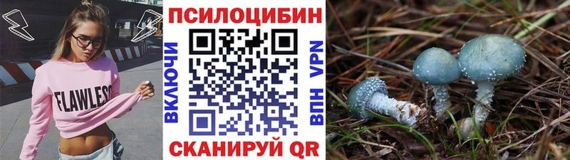 Галлюциногенные грибы Psilocybe  Каменск-Уральский 