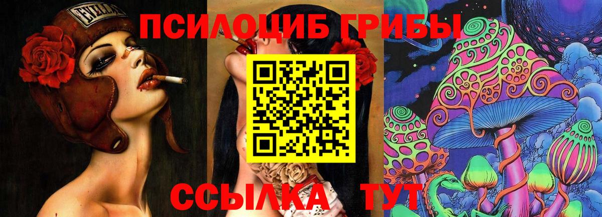 Галлюциногенные грибы Cubensis  Вход с VPN  Каменск-Уральский 